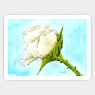 White Rose Sticker